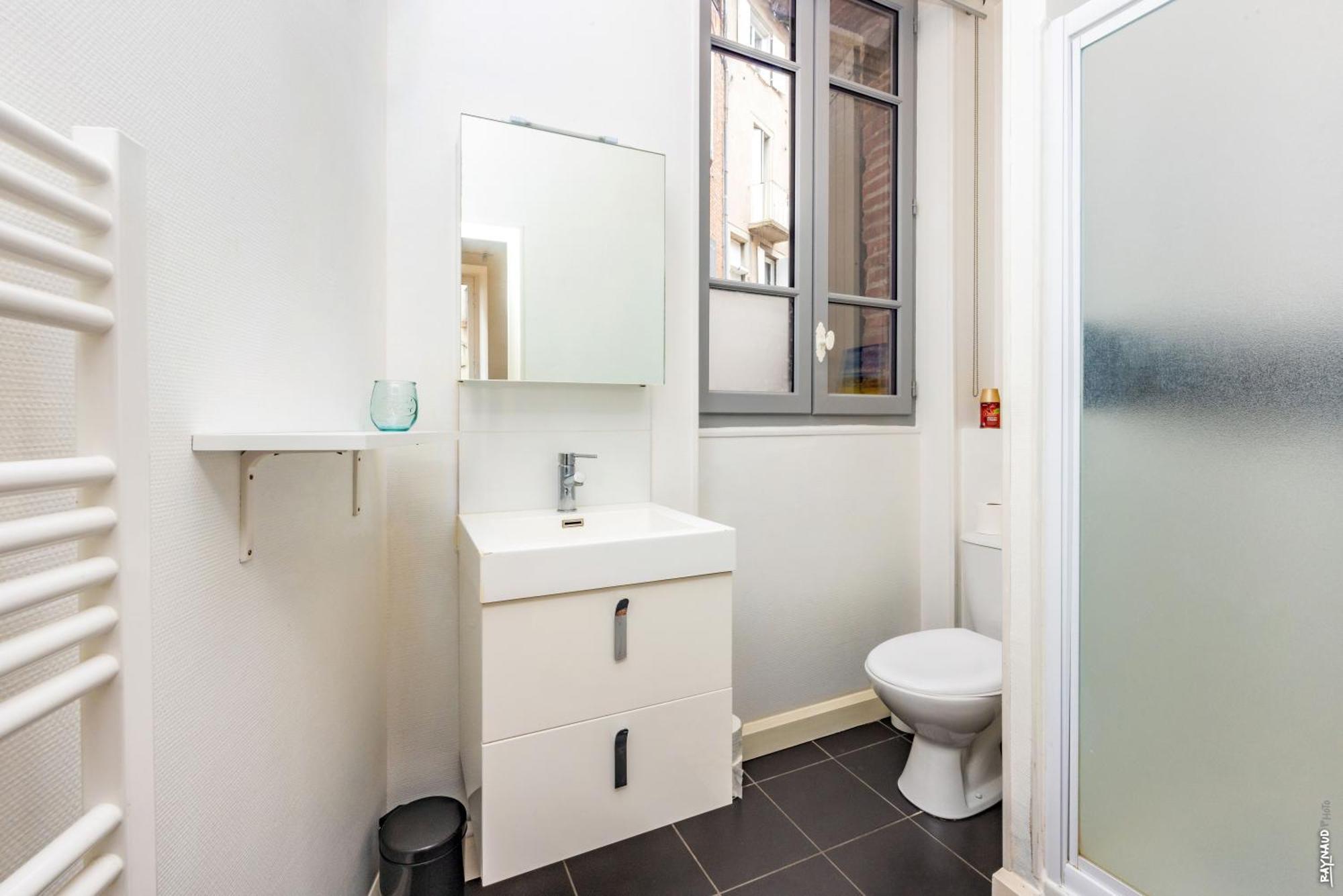 Appartement Secteur Cathedrale - Hypercentre - אלבי מראה חיצוני תמונה